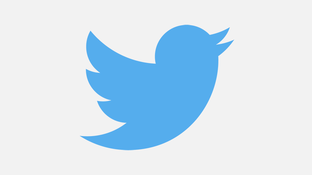 Logo de Twitter porque Twitter tiene ya 13 años