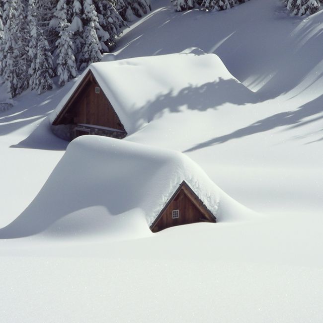 Paisaje de nieve