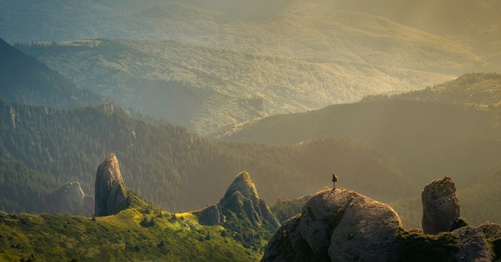 Vuelve la naturaleza, vuelve Boodlife