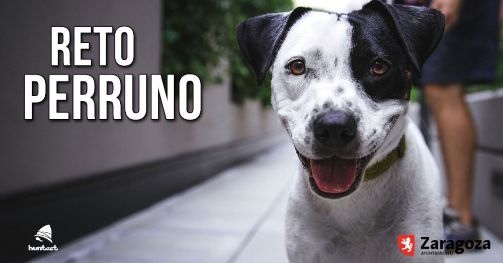 Perruno